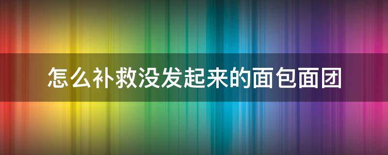 怎么补救没发起来的面包面团 发不起来的面包面团还有救吗