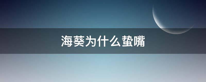 海葵为什么蛰嘴 被海葵蛰了会怎么样