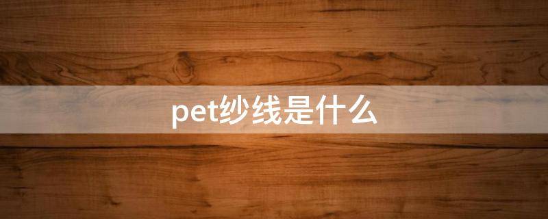 pet纱线是什么（pet纱线是什么意思）