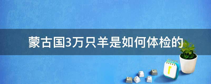 蒙古国3万只羊是如何体检的（蒙古国3万只羊是如何体检的 视频）