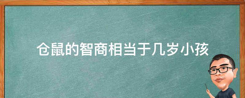 仓鼠的智商相当于几岁小孩（仓鼠的智商相当于几岁小朋友）