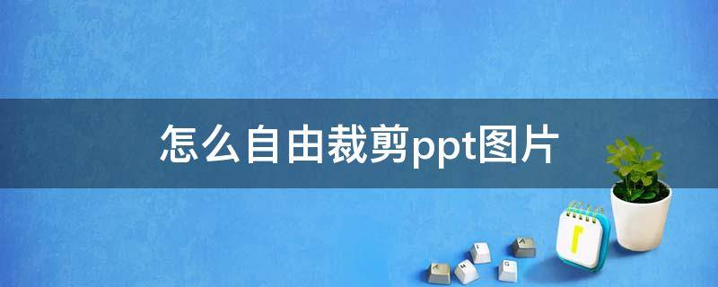 怎么自由裁剪ppt图片（ppt怎样自由裁剪图片）