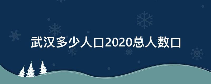 武汉多少人口2020总人数口（武汉有多少人口2020总人数）