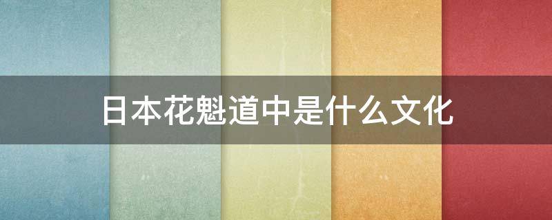 日本花魁道中是什么文化（日本传统文化花魁道中）