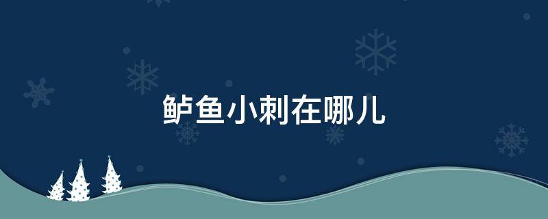 鲈鱼小刺在哪儿 鲈鱼的小刺在哪个部位?