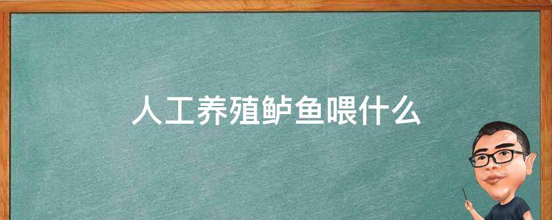 人工养殖鲈鱼喂什么 人工饲养的鲈鱼吃什么