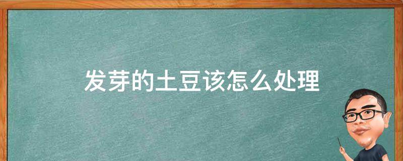 发芽的土豆该怎么处理 发芽的土豆我们应该怎么处理