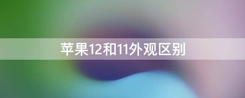 苹果12和11外观区别（苹果12和11外观的区别）