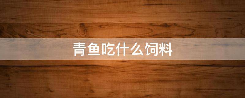青鱼吃什么饲料 青鱼吃什么饲料长得快