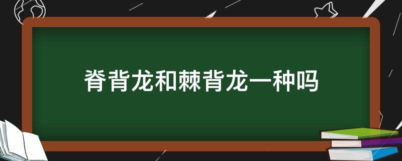 脊背龙和棘背龙一种吗（脊背龙和棘龙的区别）