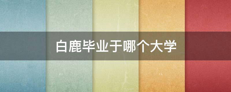 白鹿毕业于哪个大学（白鹿毕业于哪个大学 常州旅游商贸高等职业技术学校）