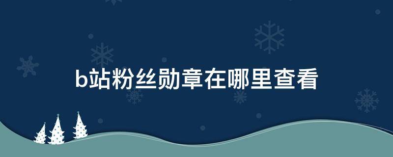 b站粉丝勋章在哪里查看（b站粉丝勋章怎么查看）