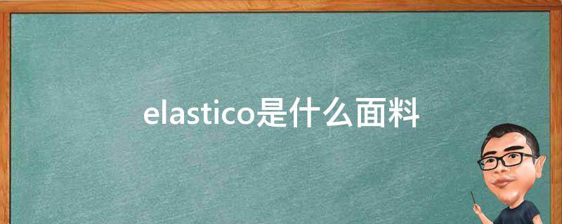 elastico是什么面料（elastic是什么面料成分）