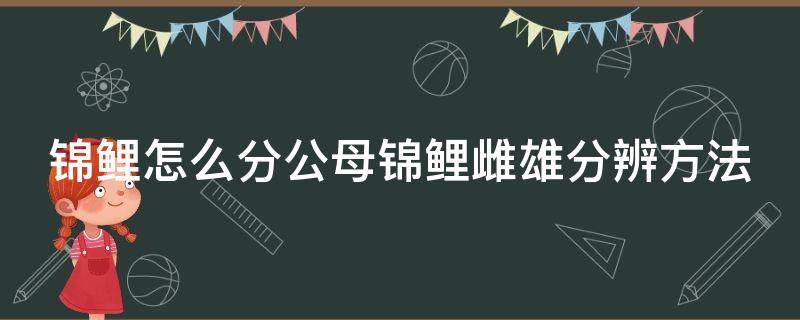 锦鲤怎么分公母锦鲤雌雄分辨方法（锦鲤咋分公母）