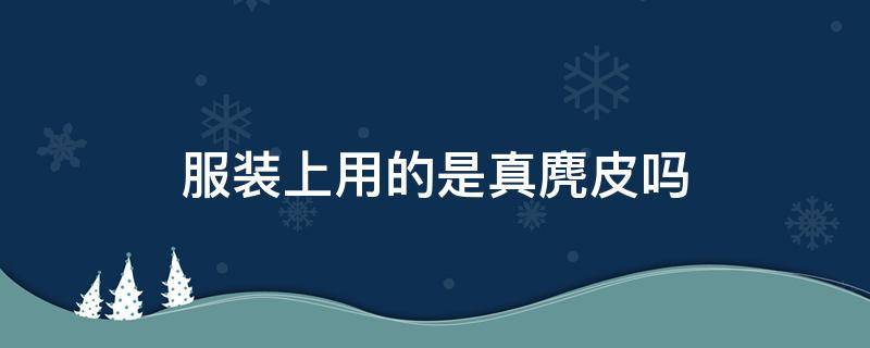 服装上用的是真麂皮吗 仿麂皮的衣服好吗