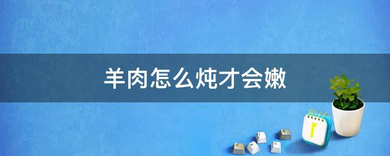 羊肉怎么炖才会嫩（羊肉怎么炖肉嫩）