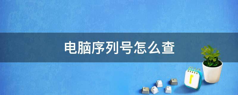 电脑序列号怎么查（台式电脑序列号怎么查）