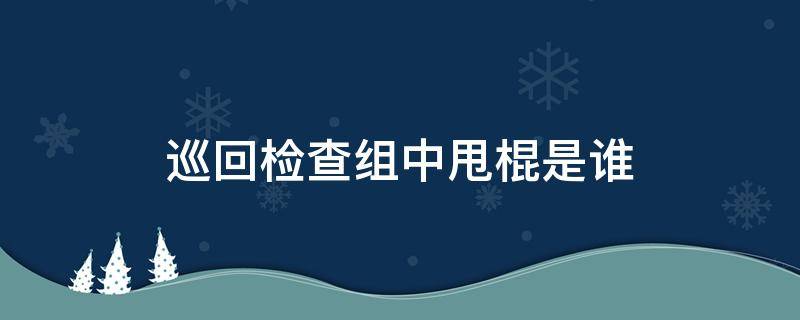 巡回检查组中甩棍是谁 巡回检查 甩棍