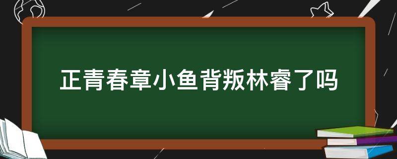 正青春章小鱼背叛林睿了吗 正青春林睿章小鱼反目