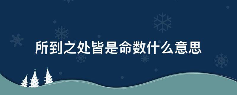 所到之处皆是命数什么意思 所到之处皆是命数啥意思