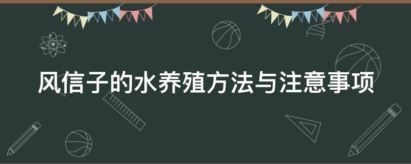 风信子的水养殖方法与注意事项 风信子如何水养