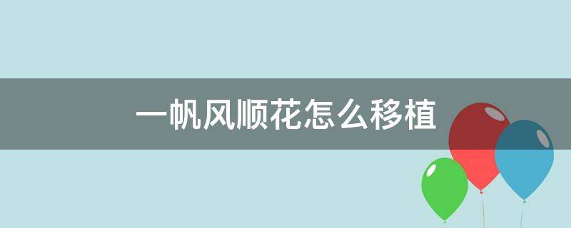 一帆风顺花怎么移植 一帆风顺花怎样移植