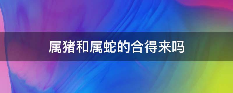 属猪和属蛇的合得来吗 属猪的和属蛇的相合吗