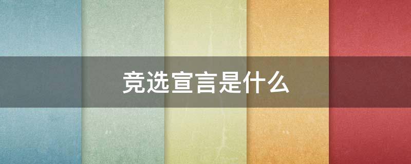 竞选宣言是什么（竞选宣言怎么说）