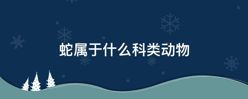 蛇属于什么科类动物（蛇属于哪一科动物）