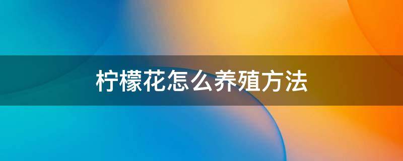 柠檬花怎么养殖方法（盆栽柠檬花怎么养）