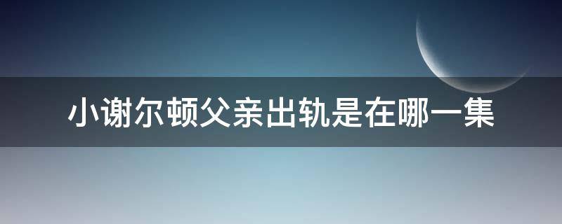 小谢尔顿父亲出轨是在哪一集 小谢尔顿哪一集讲他爸爸出轨