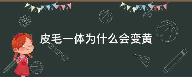 皮毛一体为什么会变黄 皮毛一体白色会变黄吗