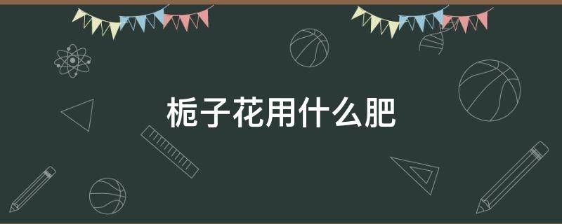 栀子花用什么肥 栀子花用什么肥料最好最旺