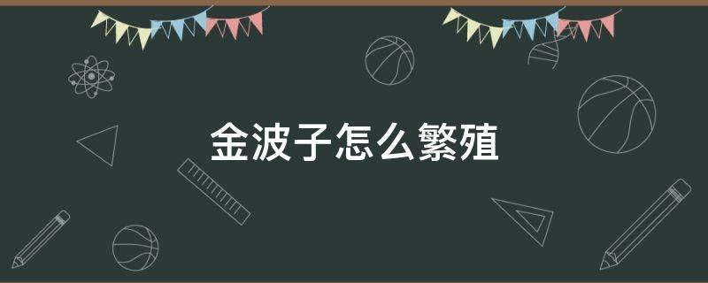 金波子怎么繁殖 金波子蓝波子繁殖