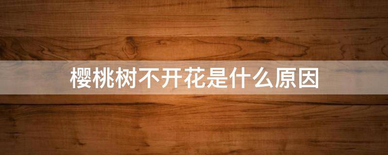 樱桃树不开花是什么原因 樱桃树不开花结果是什么原因