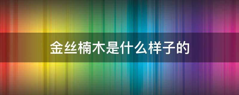 金丝楠木是什么样子的（金丝楠木图片）