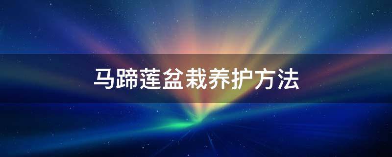 马蹄莲盆栽养护方法 马蹄莲盆栽怎么养家庭养法