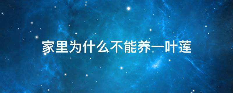 家里为什么不能养一叶莲 家里养一叶莲不吉利吗