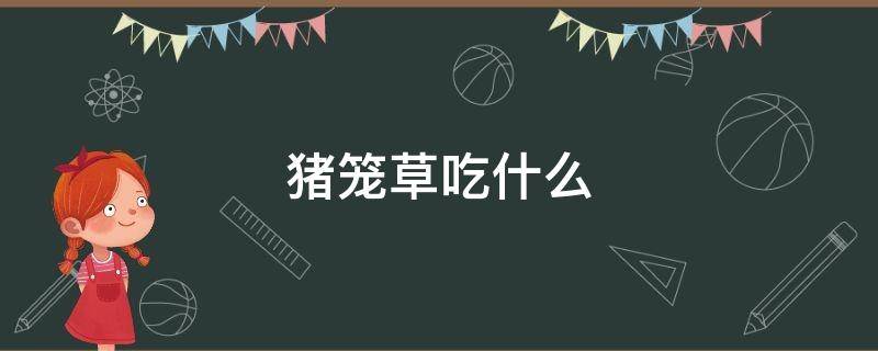 猪笼草吃什么（猪笼草吃什么蚊子）