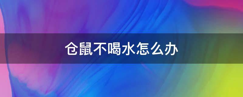 仓鼠不喝水怎么办 新买的仓鼠不喝水怎么办