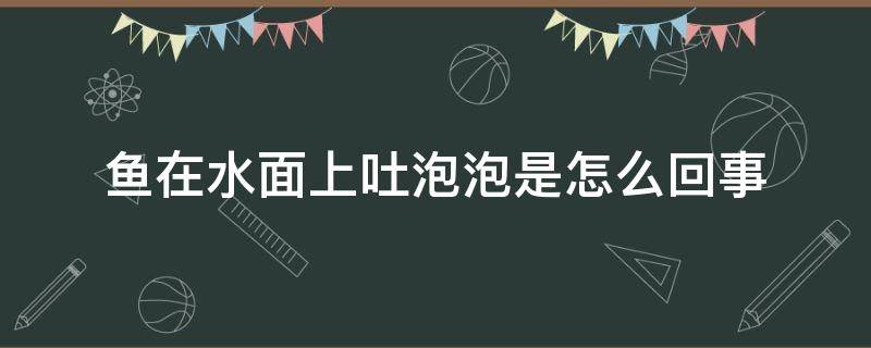 鱼在水面上吐泡泡是怎么回事（鱼为啥在水面上吐了好多泡泡）