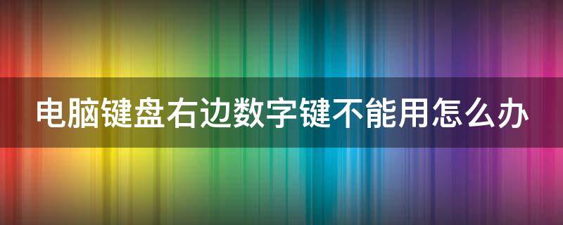 电脑键盘右边数字键不能用怎么办 电脑键盘右边数字键不能用怎么办笔记本