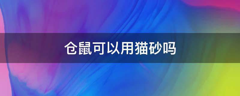 仓鼠可以用猫砂吗 夏天仓鼠可以用猫砂吗