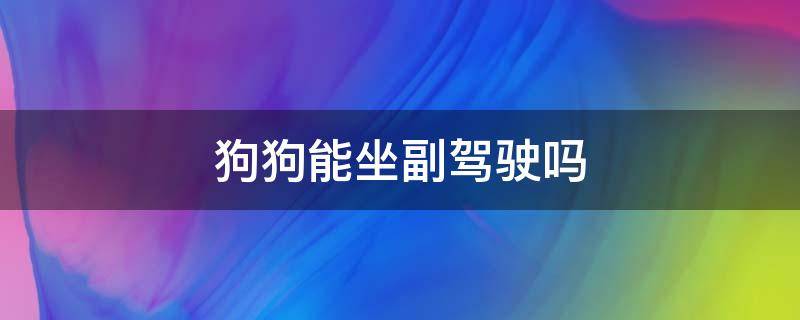 狗狗能坐副驾驶吗（狗狗坐车可以副驾吗）