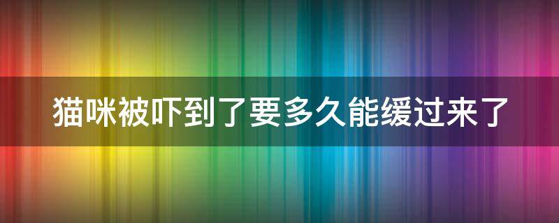 猫咪被吓到了要多久能缓过来了（猫咪被吓到后多久能恢复）