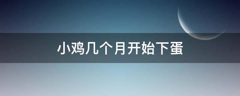 小鸡几个月开始下蛋 家养小鸡几个月开始下蛋