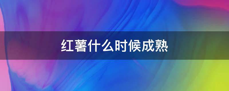 红薯什么时候成熟 河南红薯什么时候成熟