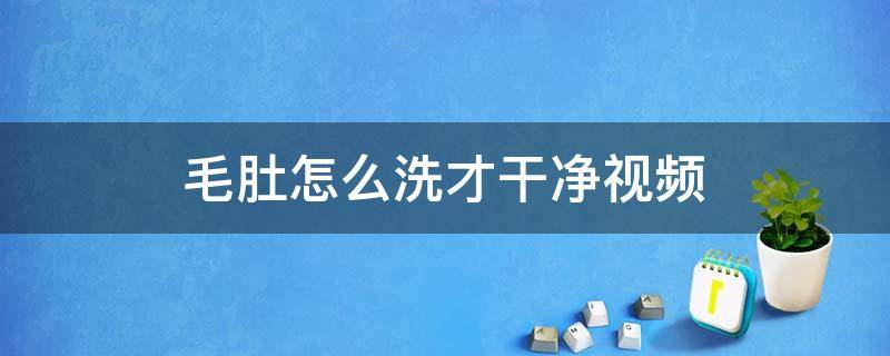 毛肚怎么洗才干净视频 毛肚怎么洗才能干净视频