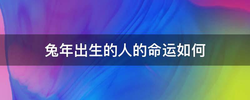 兔年出生的人的命运如何 兔年出生的人是什么命