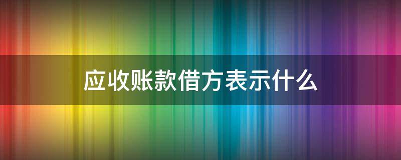 应收账款借方表示什么（应收账款借方表示什么意思）